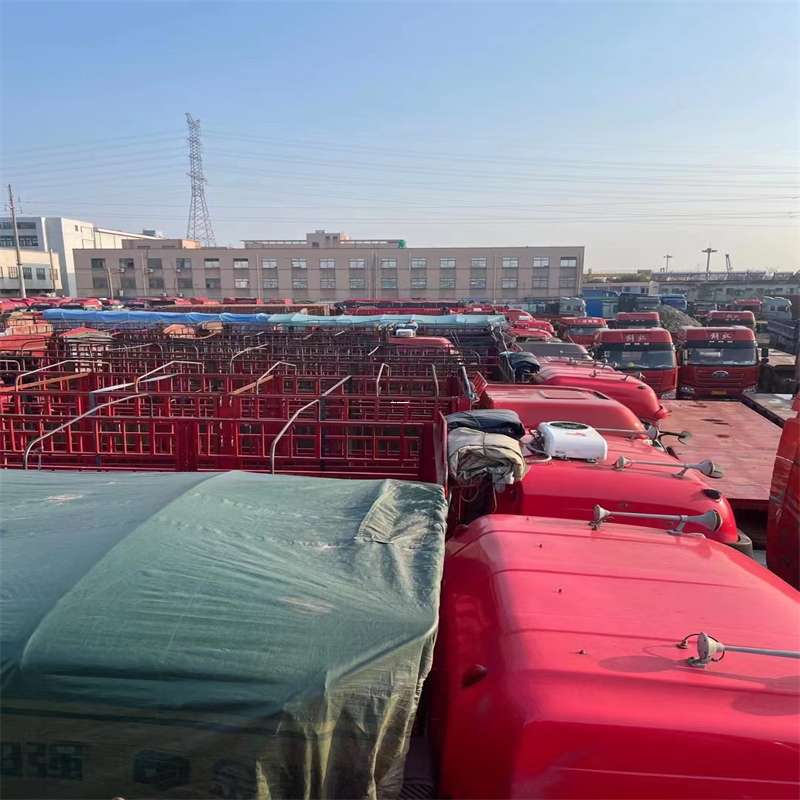 东凤镇栖霞市物流：多元运输服务与线路探秘