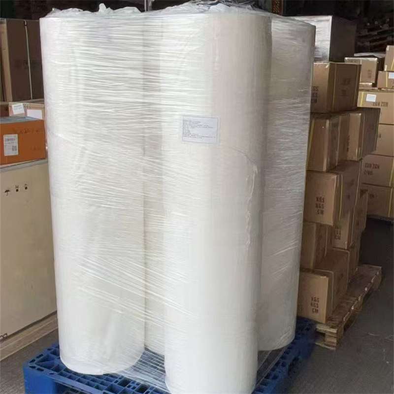 东凤镇礼县物流：专线直达的多元货运服务