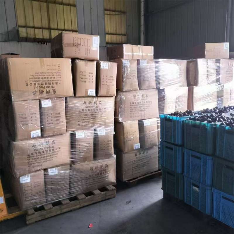 东凤镇澄江市物流：多元运输服务与线路探秘